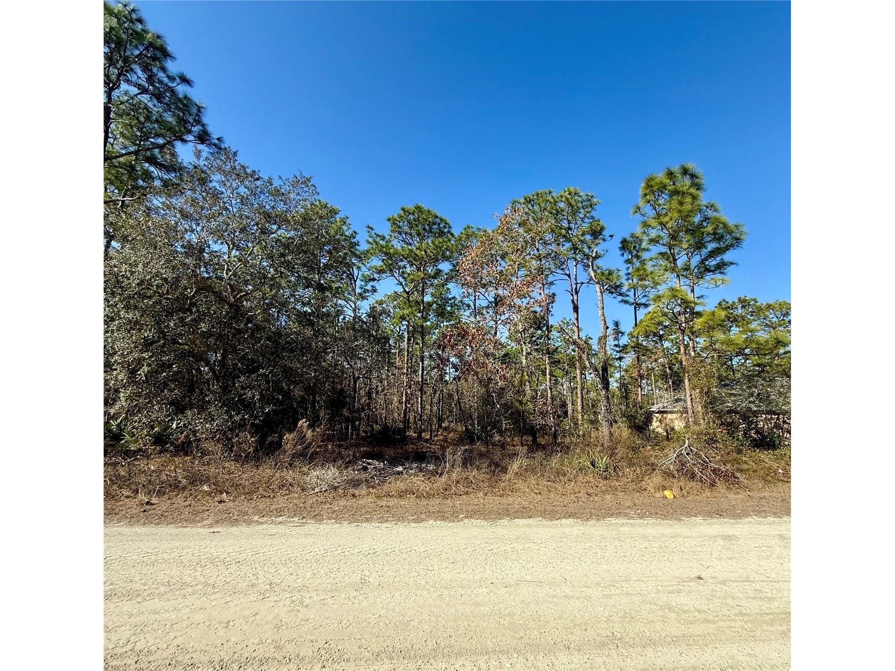 0 Macassar Road Weeki Wachee FL 34614 TB8478268 image1