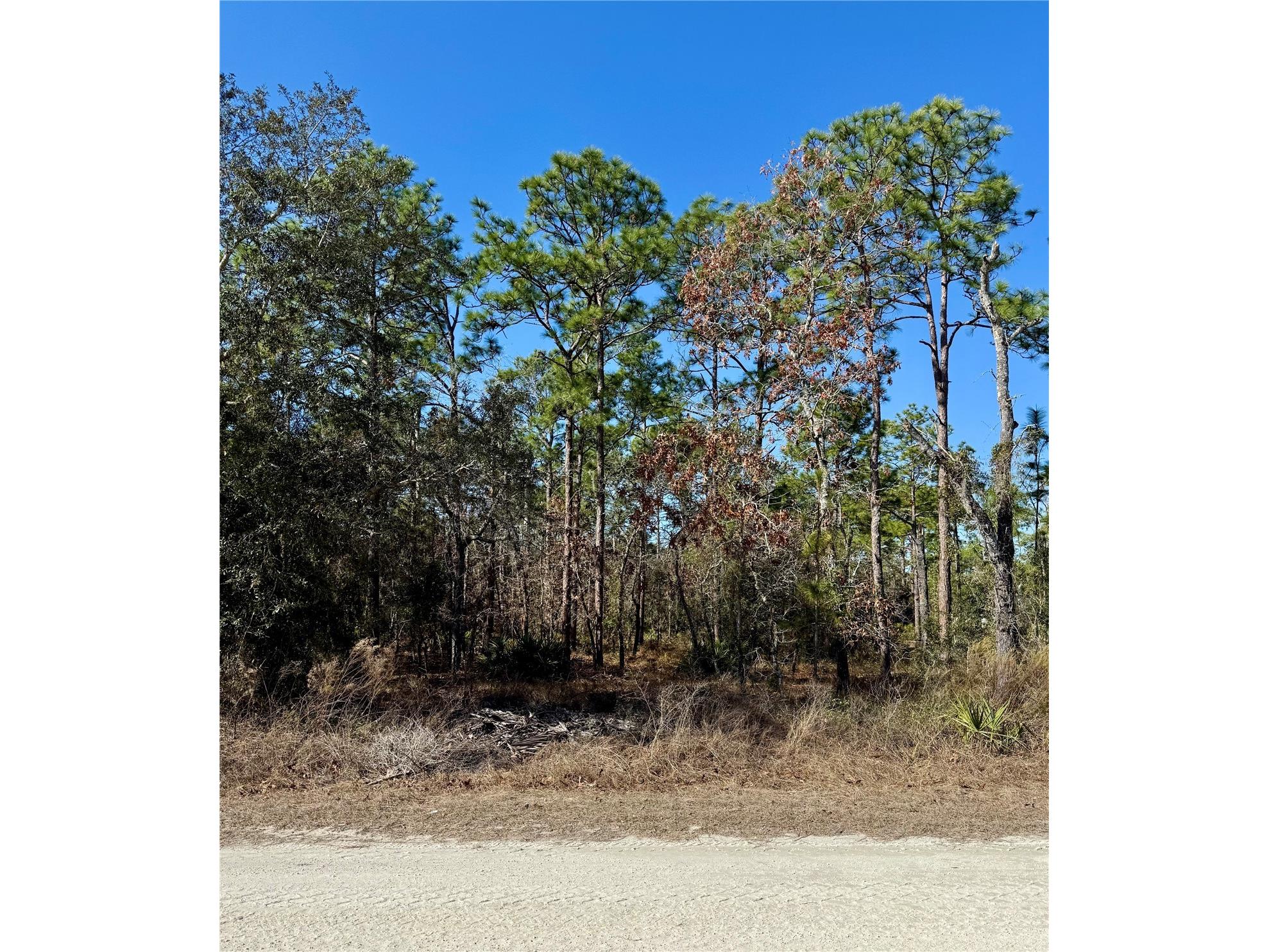 0 Macassar Road Weeki Wachee FL 34614 TB8478268 image2