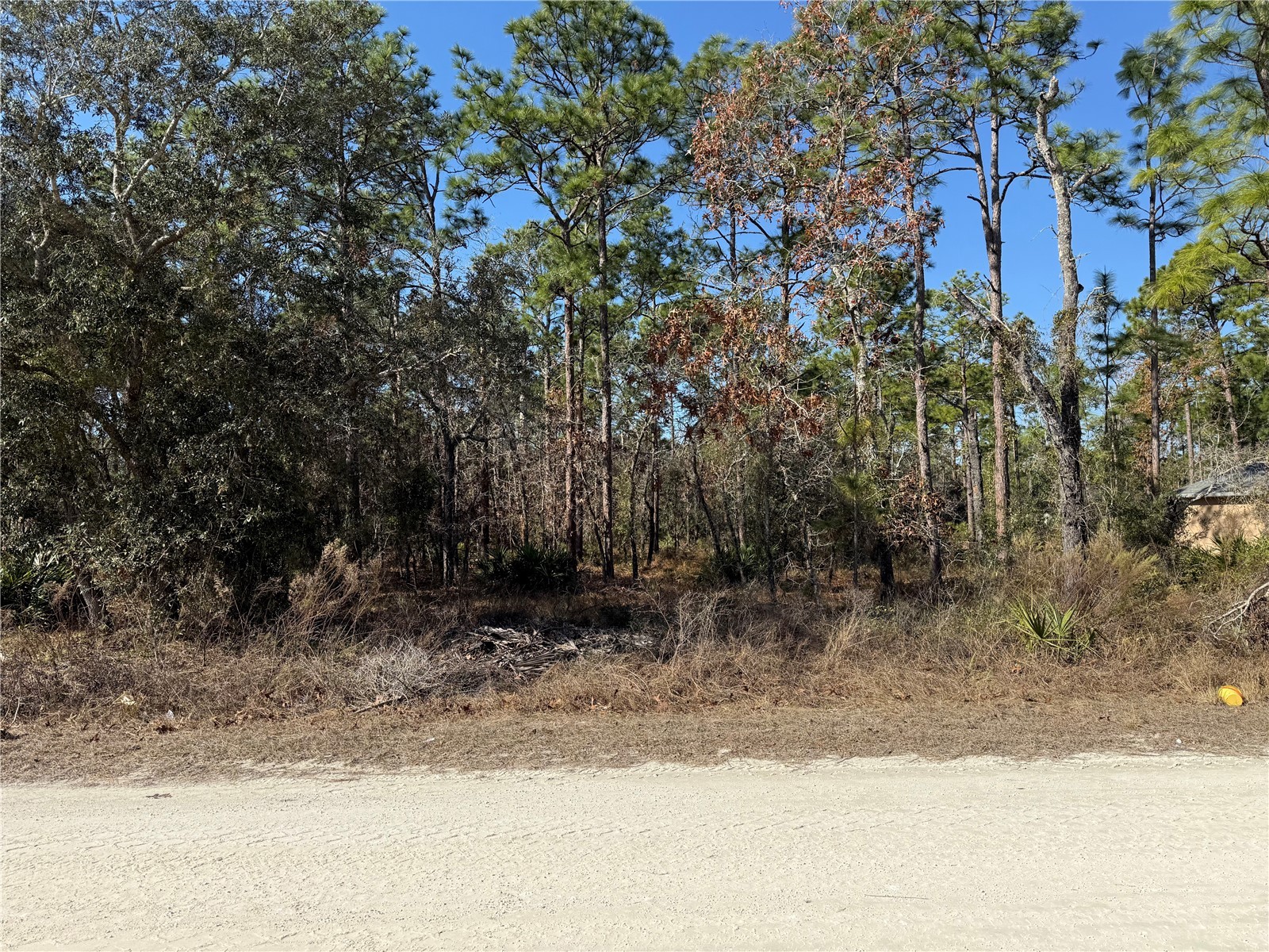 0 Macassar Road Weeki Wachee FL 34614 TB8478268 image3