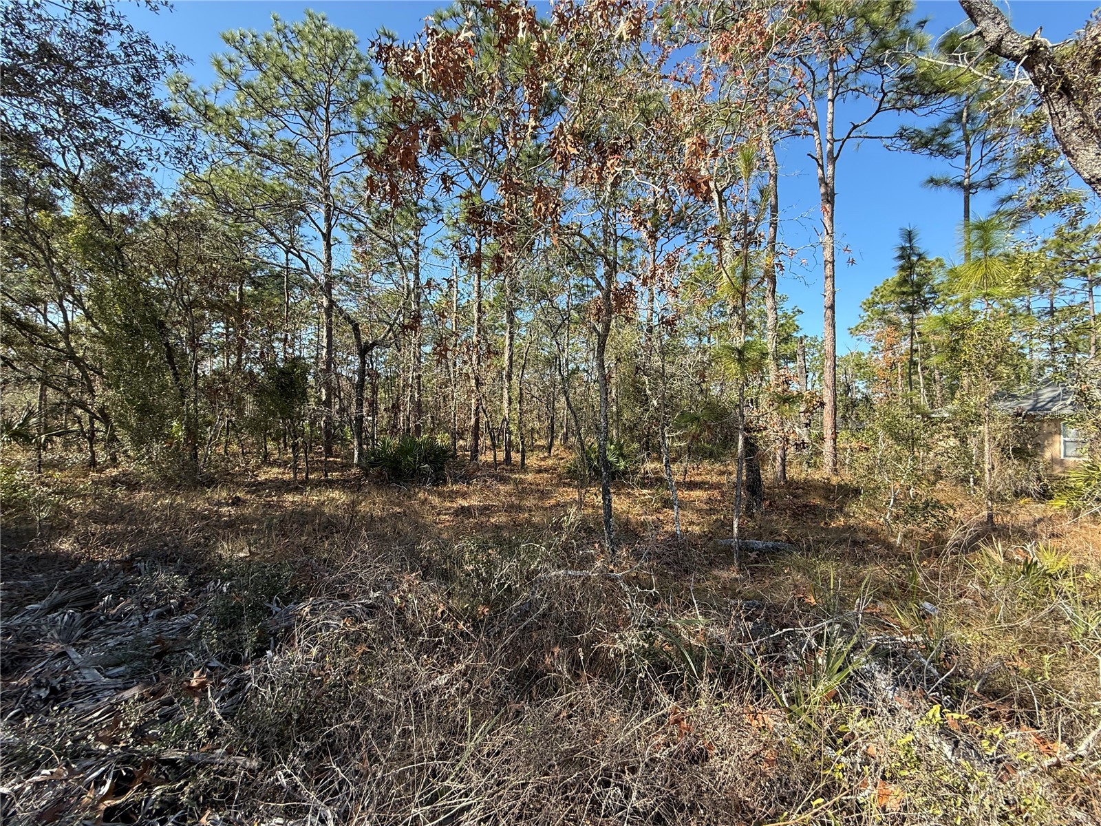 0 Macassar Road Weeki Wachee FL 34614 TB8478268 image4