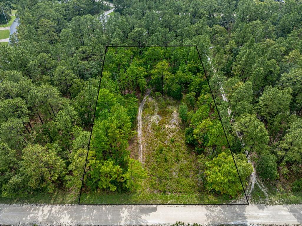 0 Macek Road Brooksville FL 34614 T3544688 image1