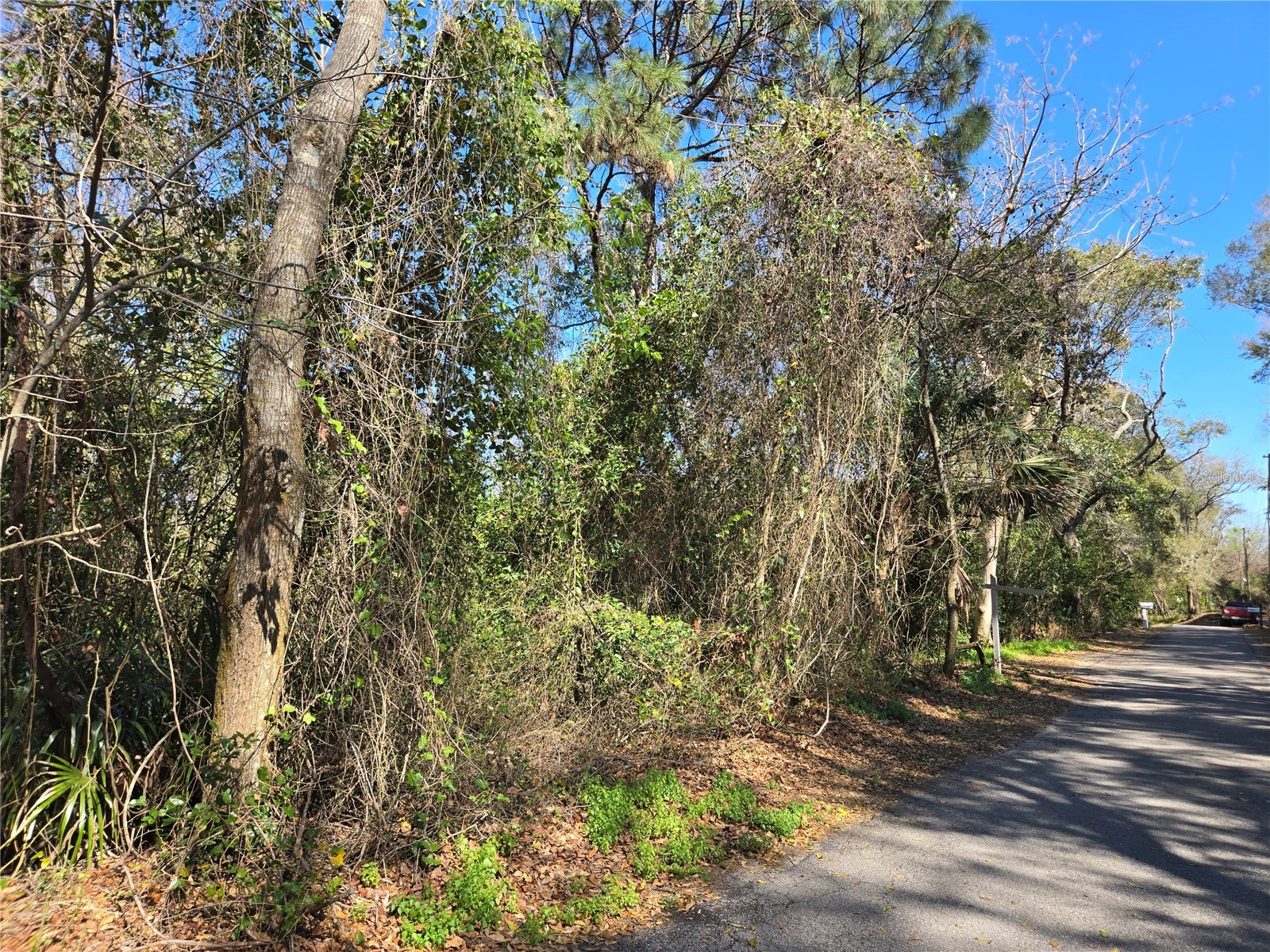 0 Magnolia Creek Lane Montverde FL 34756 - LAKE APOPKA O6385179 image23