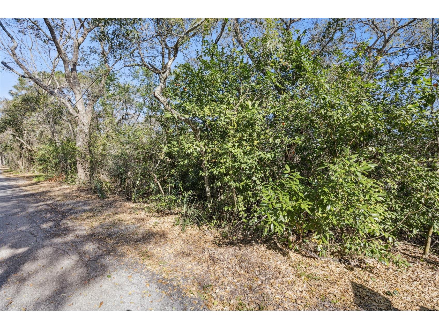 0 Magnolia Creek Lane Montverde FL 34756 - LAKE APOPKA O6385179 image24
