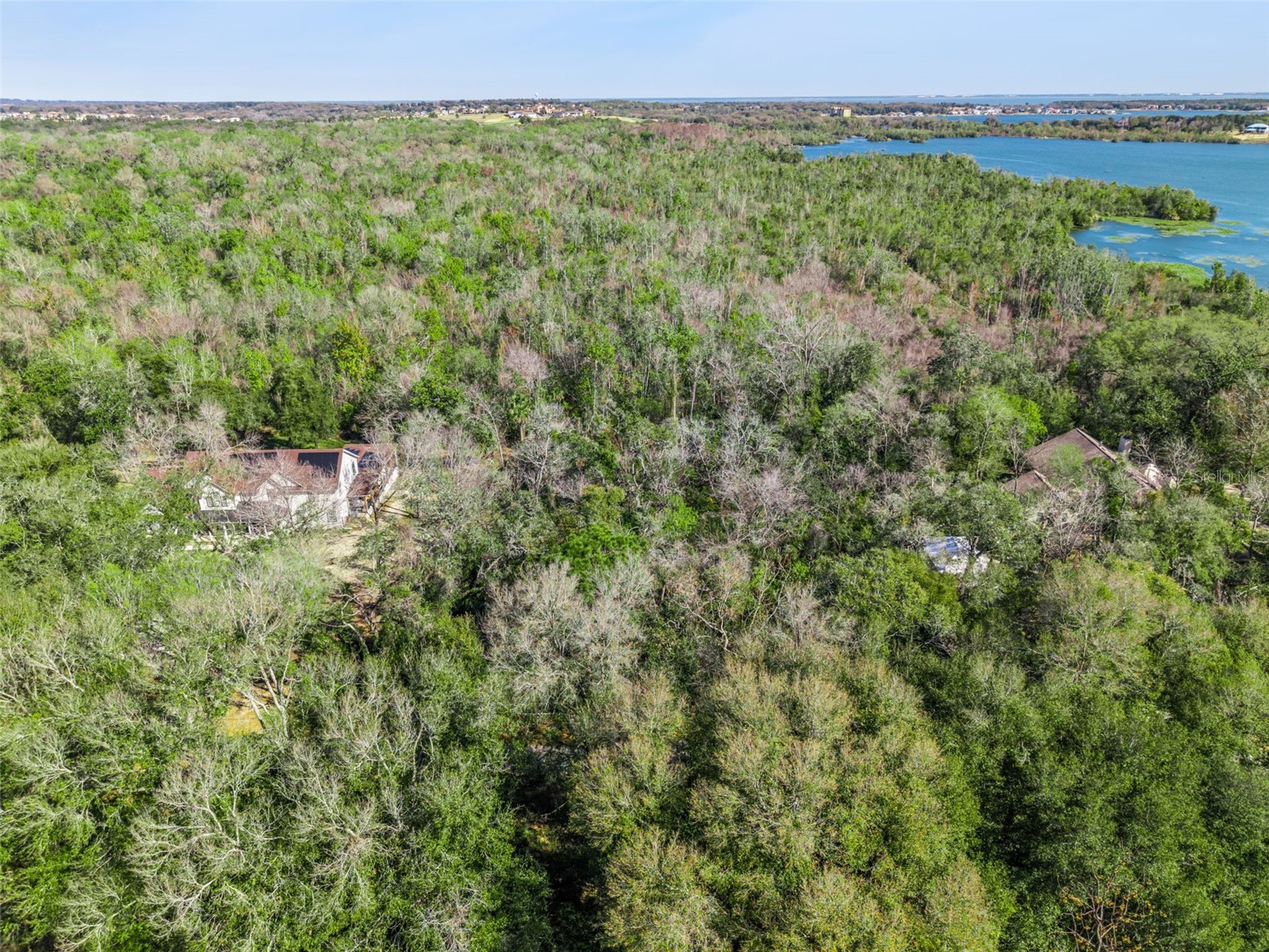 0 Magnolia Creek Lane Montverde FL 34756 - LAKE APOPKA O6385179 image27