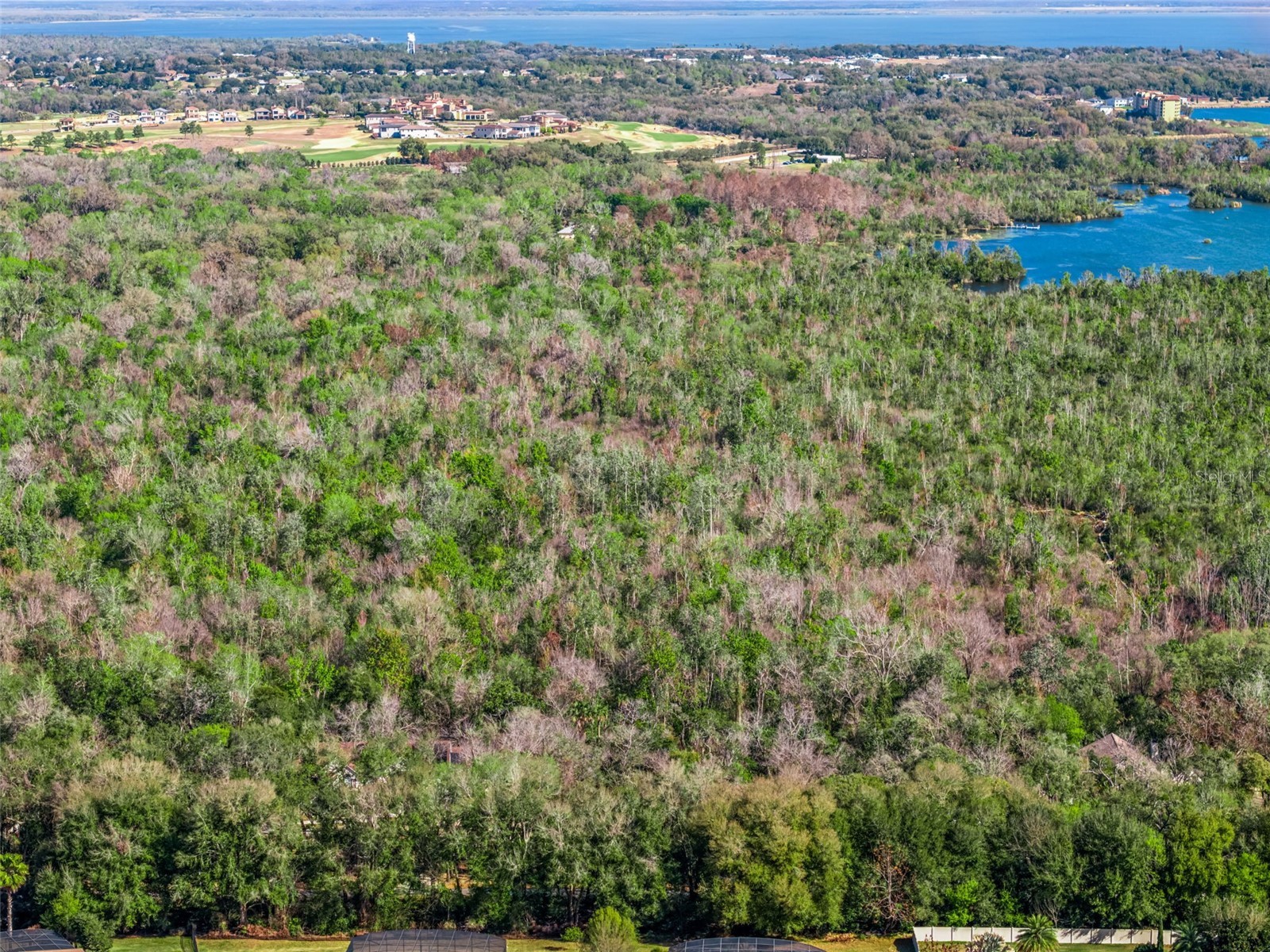 0 Magnolia Creek Lane Montverde FL 34756 - LAKE APOPKA O6385179 image29