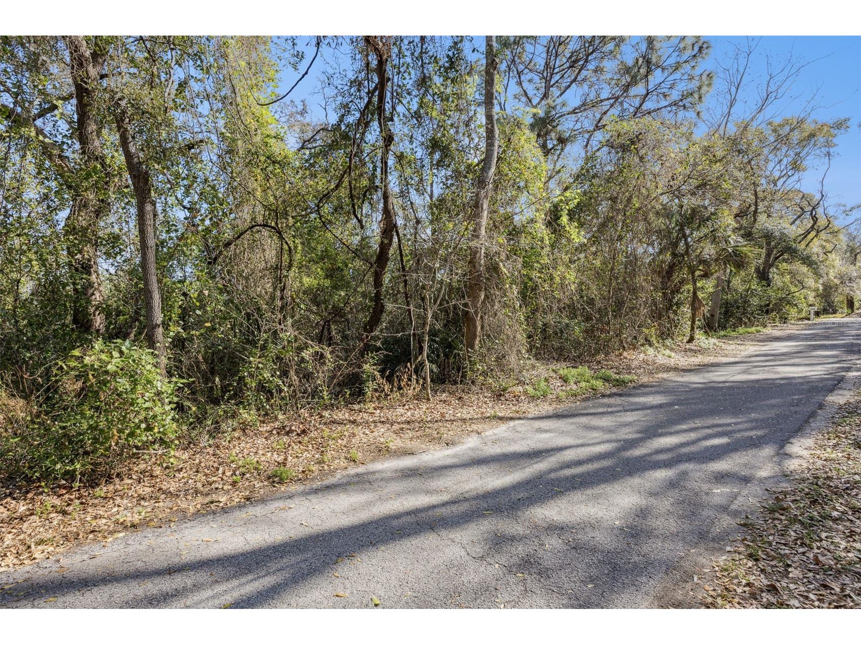 0 Magnolia Creek Lane Montverde FL 34756 - LAKE APOPKA O6385179 image3