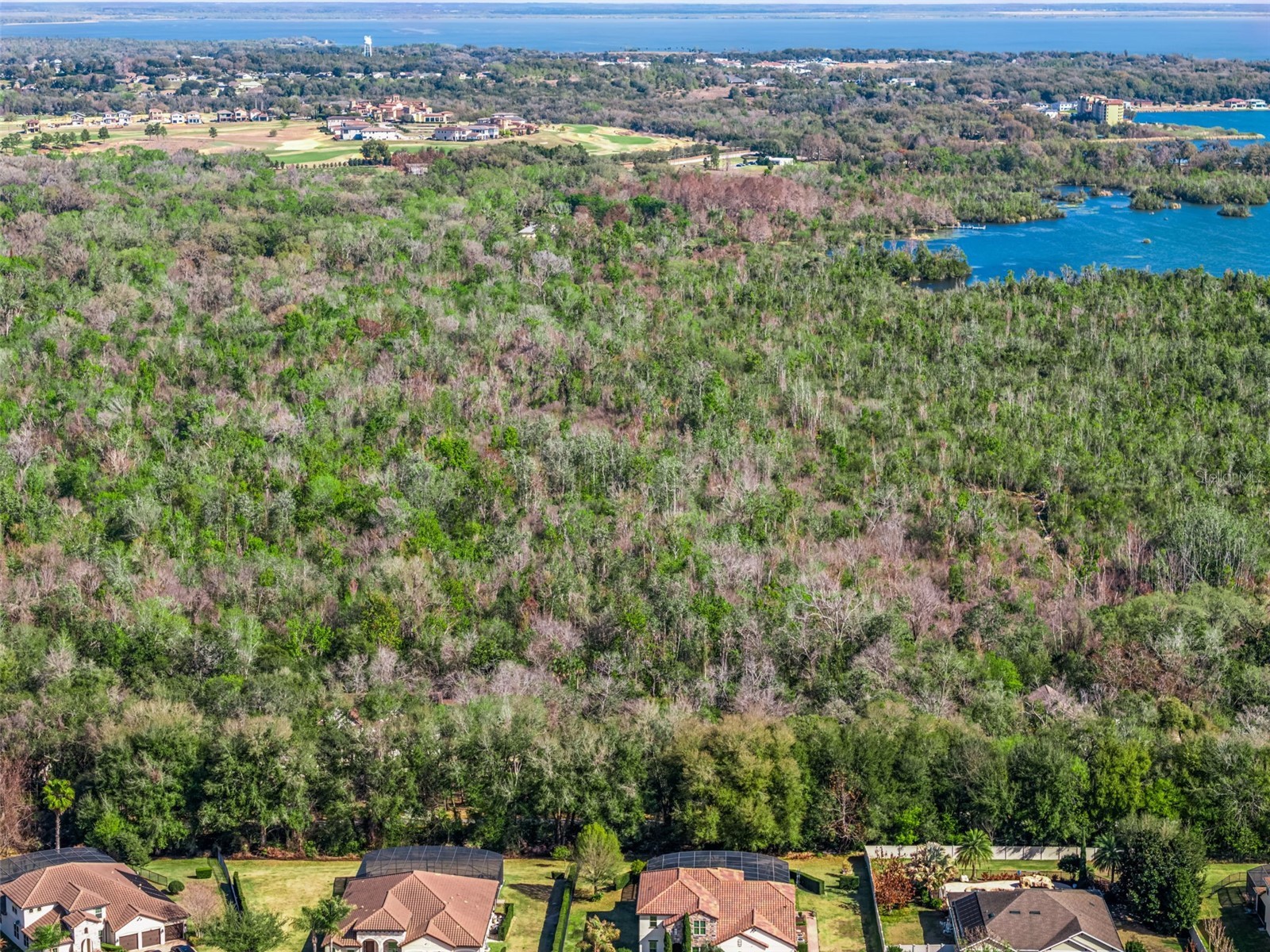 0 Magnolia Creek Lane Montverde FL 34756 - LAKE APOPKA O6385179 image34