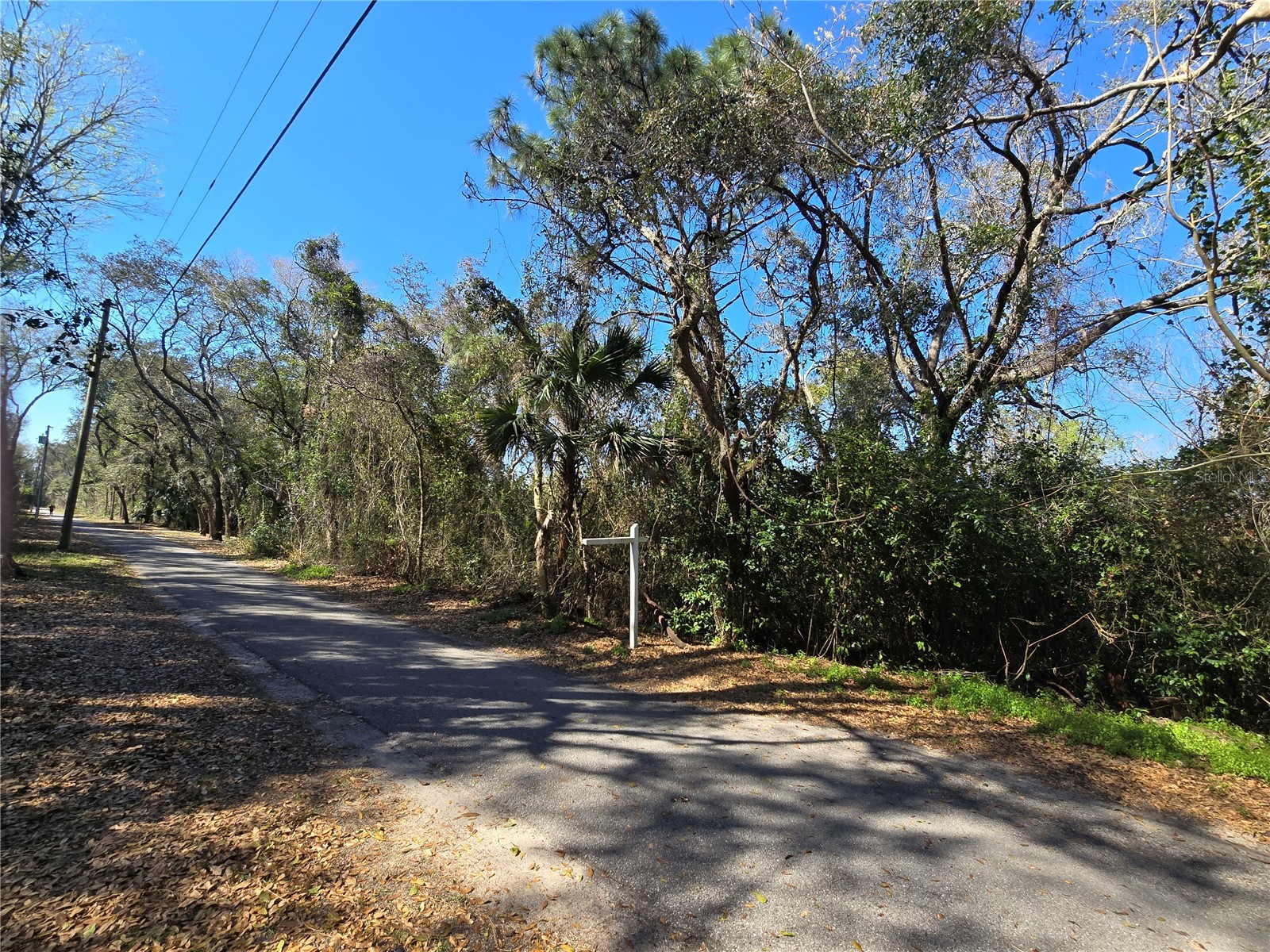 0 Magnolia Creek Lane Montverde FL 34756 - LAKE APOPKA O6385179 image9