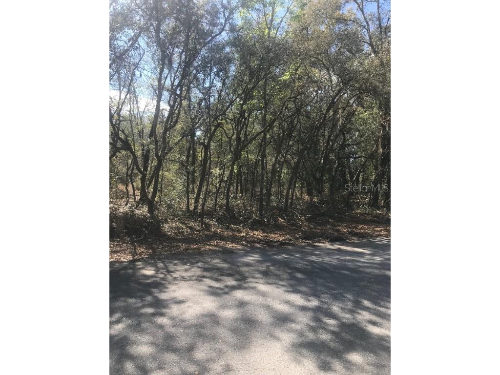 0 Malauka Drive Ocklawaha FL 32179 OM655031 image1