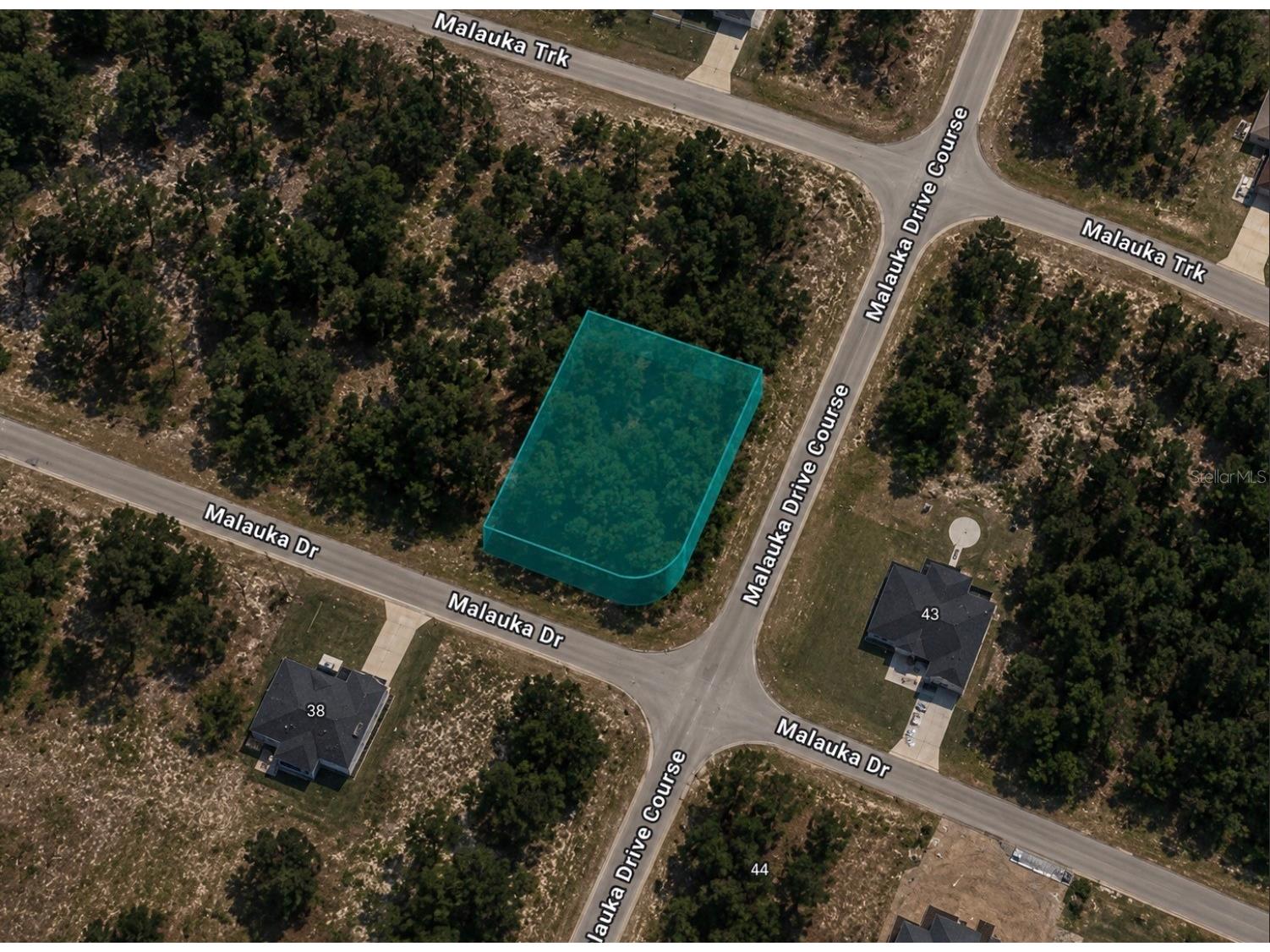 0 Malauka Drive Ocklawaha FL 32179 TB8517078 image1