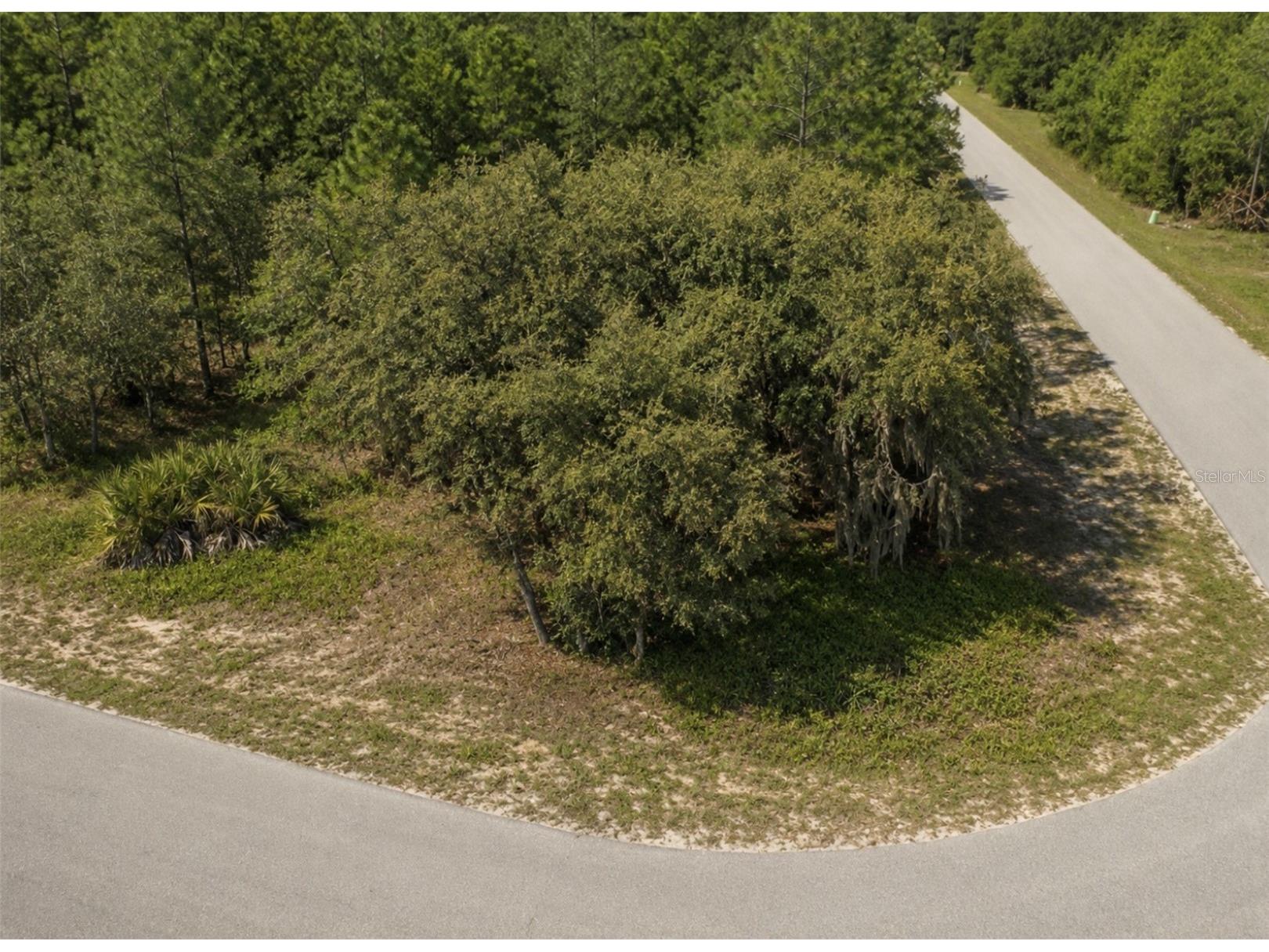 0 Malauka Drive Ocklawaha FL 32179 TB8517078 image2