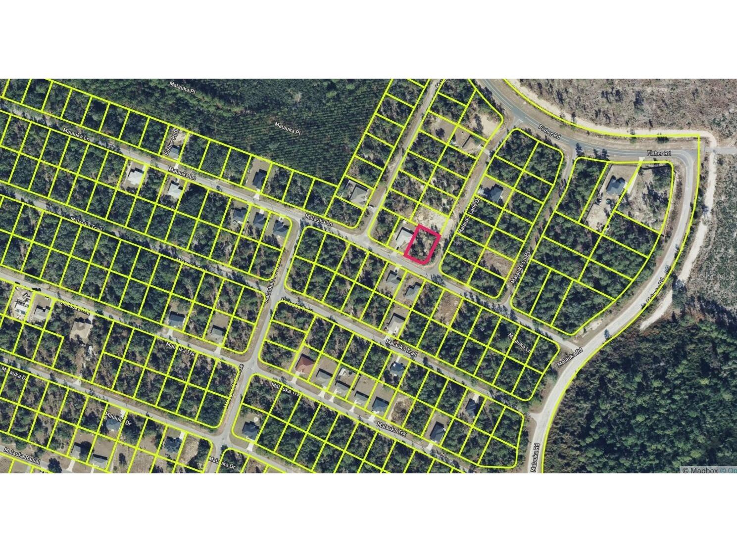 0 Malauka Lane Ocklawaha FL 32179 O6386671 image1
