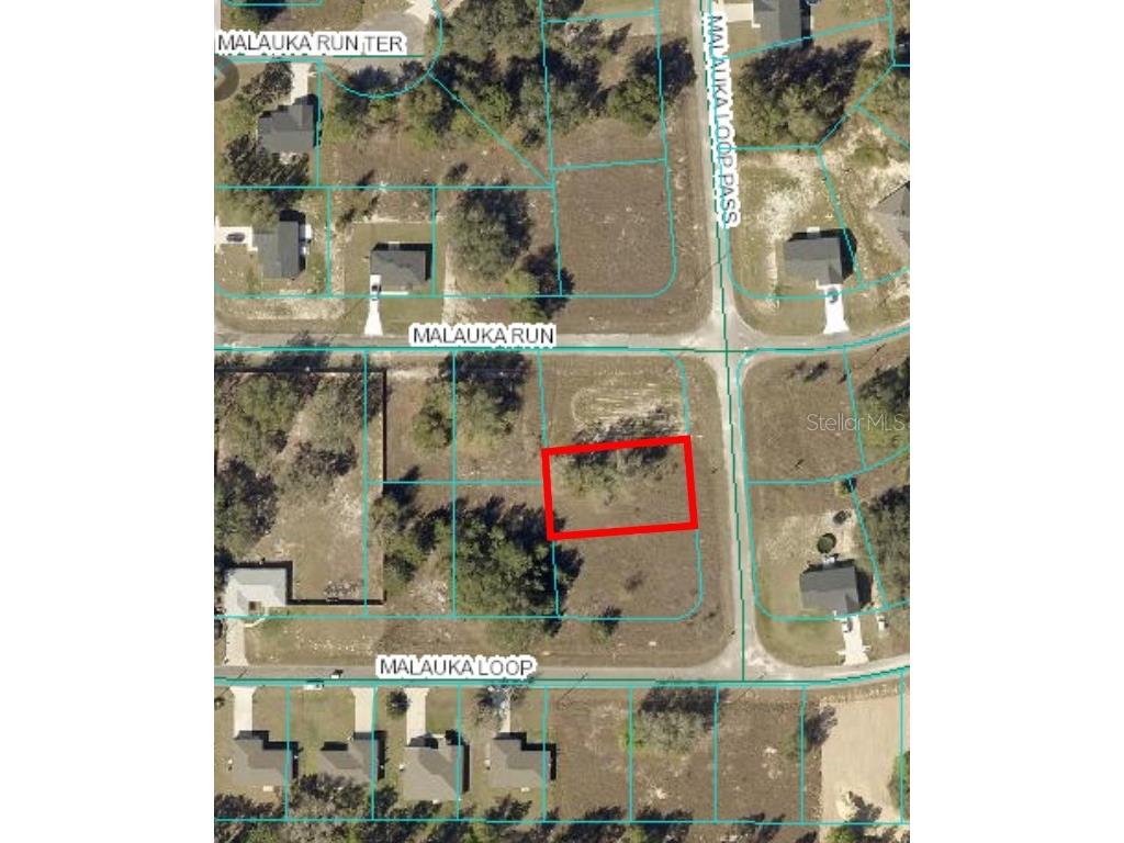 0 Malauka Loop Pass Ocklawaha FL 32179 OM687212 image1