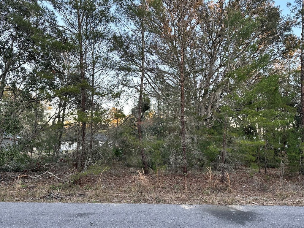 0 Malauka Pass Course Ocklawaha FL 32179 OM696989 image1