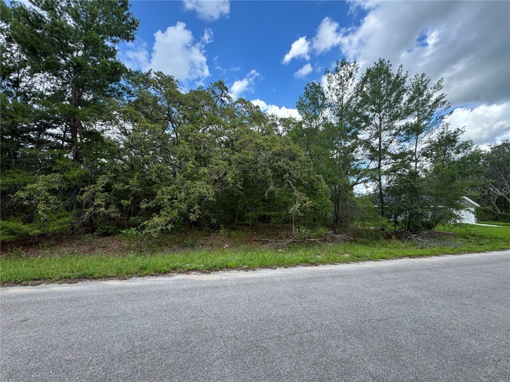 0 Malauka Pass Course Ocklawaha FL 32179 OM703730 image1