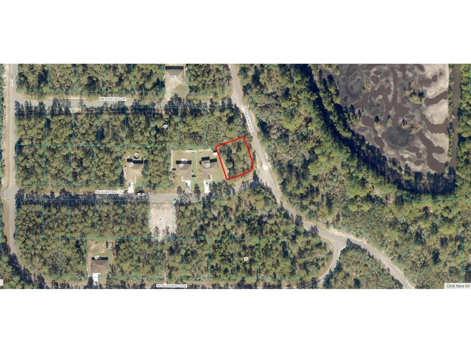 0 Malauka Pass Ocklawaha FL 32179 OM658306 image1