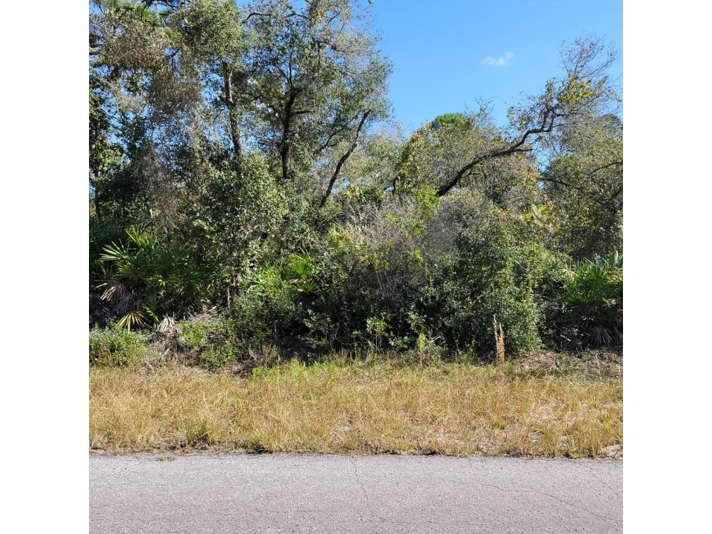 0 Malauka Pass Ocklawaha FL 32179 W7853098 image1