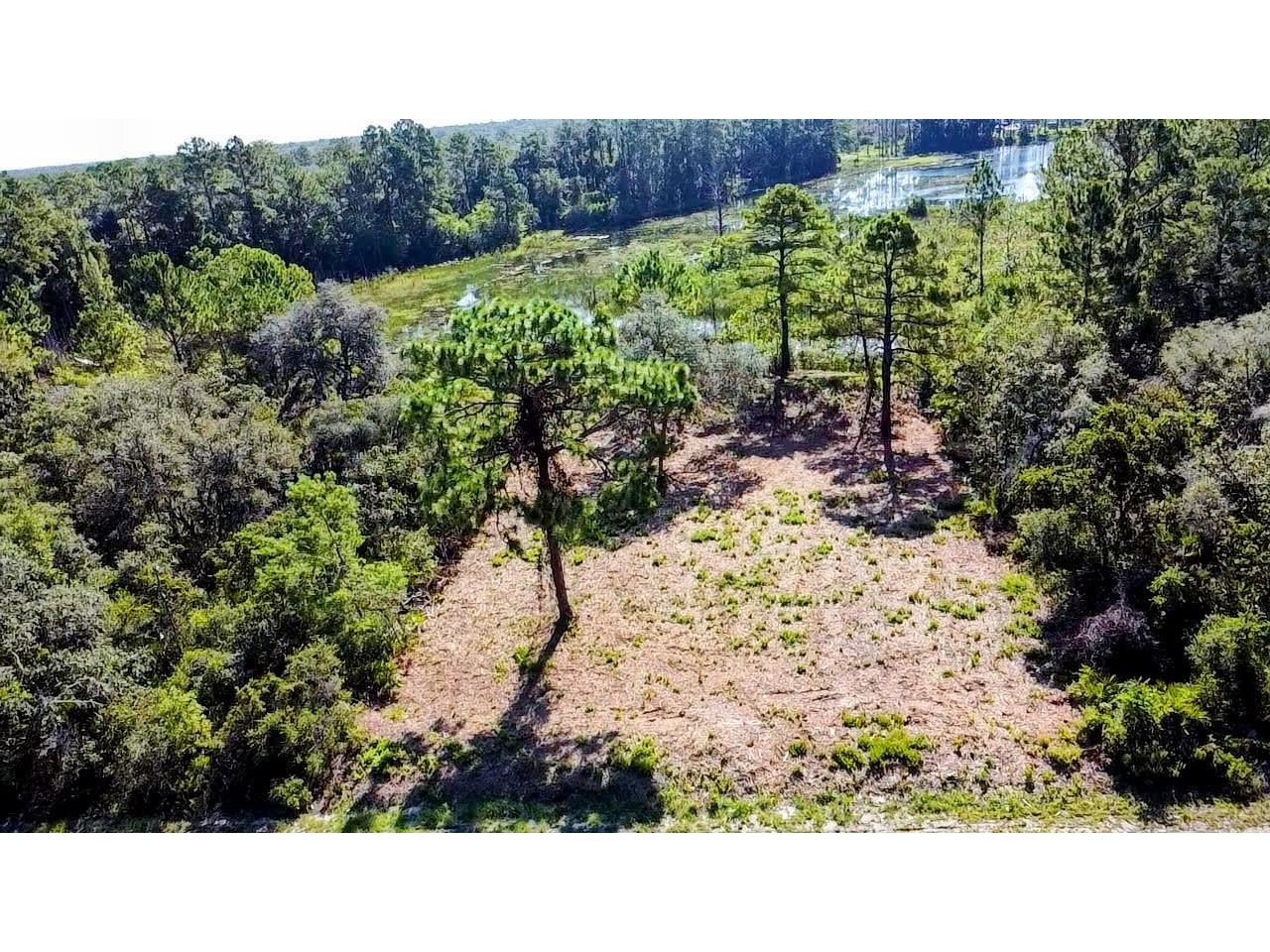 0 Malauka Pass Ocklawaha FL 32179 O6337549 image2