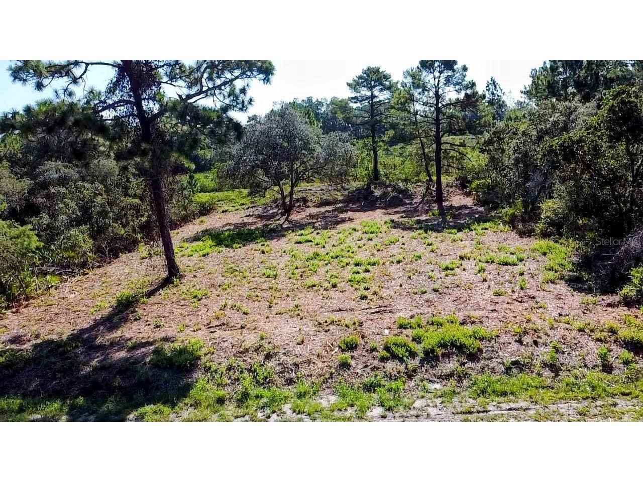 0 Malauka Pass Ocklawaha FL 32179 O6337549 image3