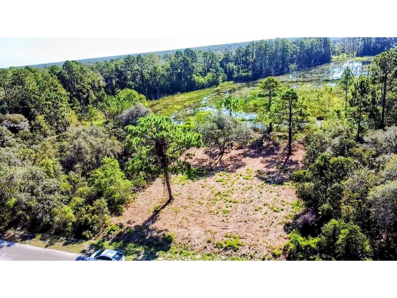 0 Malauka Pass Ocklawaha FL 32179 O6337549 image4