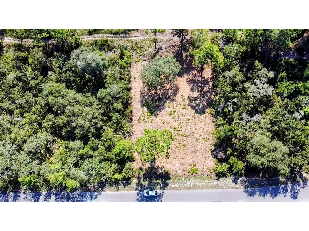 0 Malauka Pass Ocklawaha FL 32179 O6337549 image5