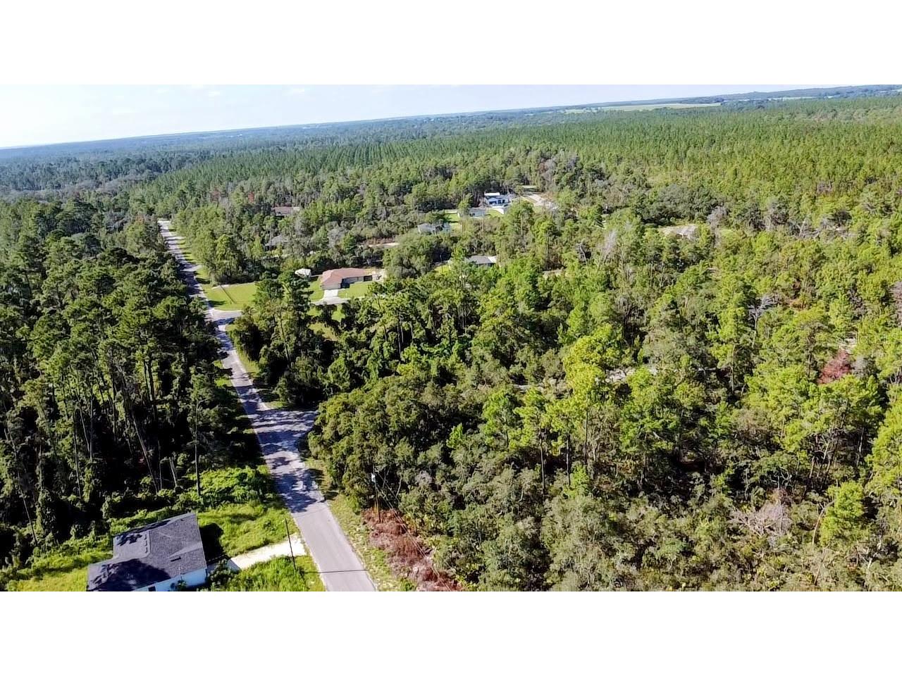 0 Malauka Pass Ocklawaha FL 32179 O6337549 image6