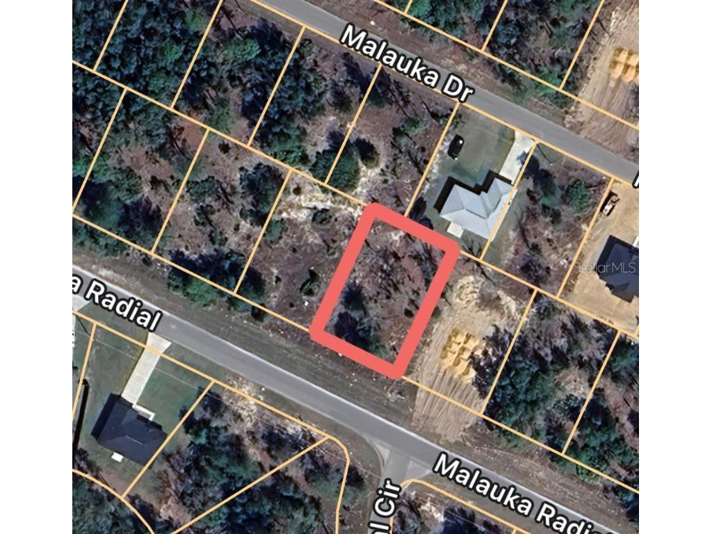 0 Malauka Radial #6 Ocklawaha FL 32179 OM704964 image1