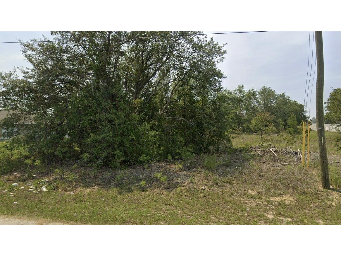 0 Malauka Radial Cir Ocklawaha FL 32179 O6363103 image4