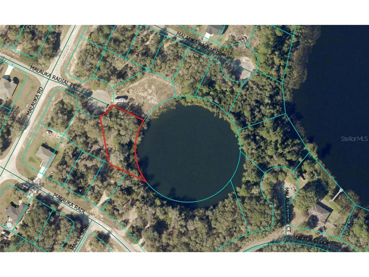 0 Malauka Radial Court Ocklawaha FL 32179 - SILVER DOLLAR LAKE OM714596 image1