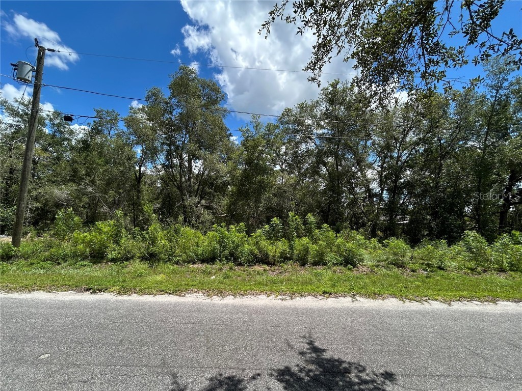 0 Malauka Radial Lane Ocklawaha FL 32179 TB8420741 image1