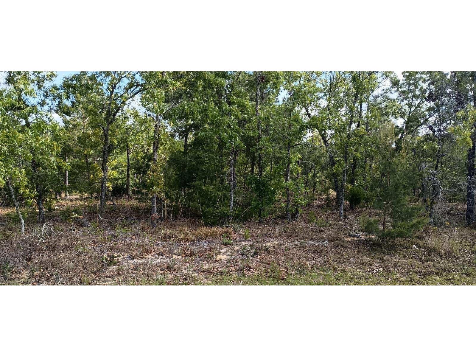 0 Malauka Radial Ocklawaha FL 32179 OM675436 image1