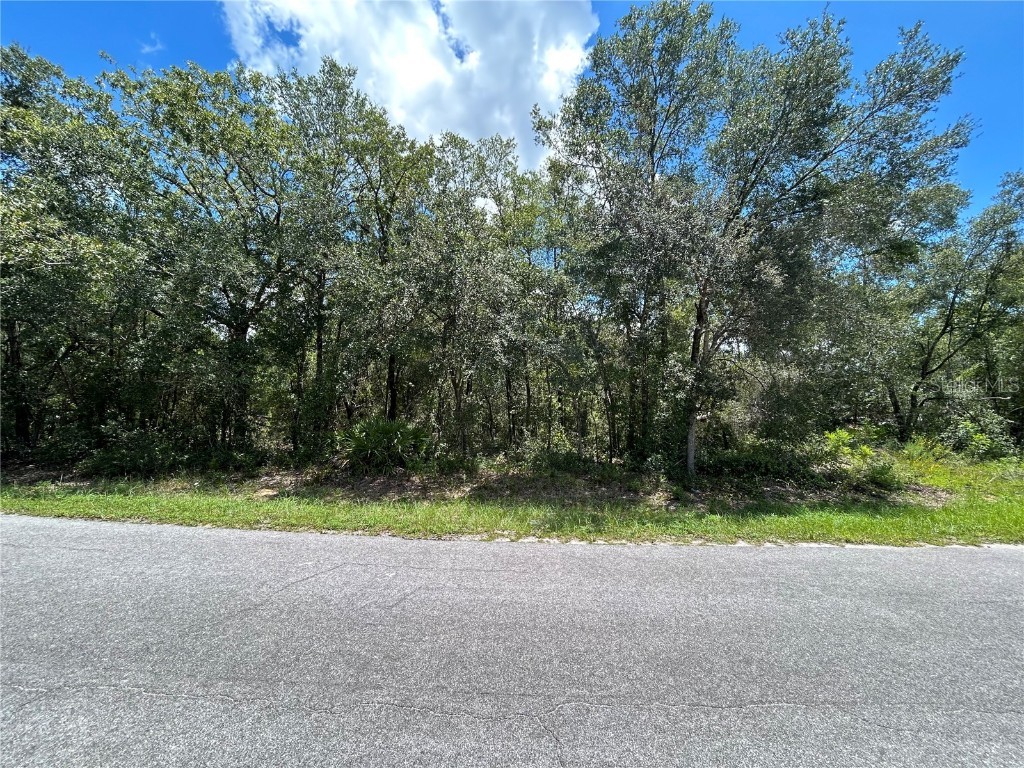 0 Malauka Radial Ocklawaha FL 32179 TB8416549 image1