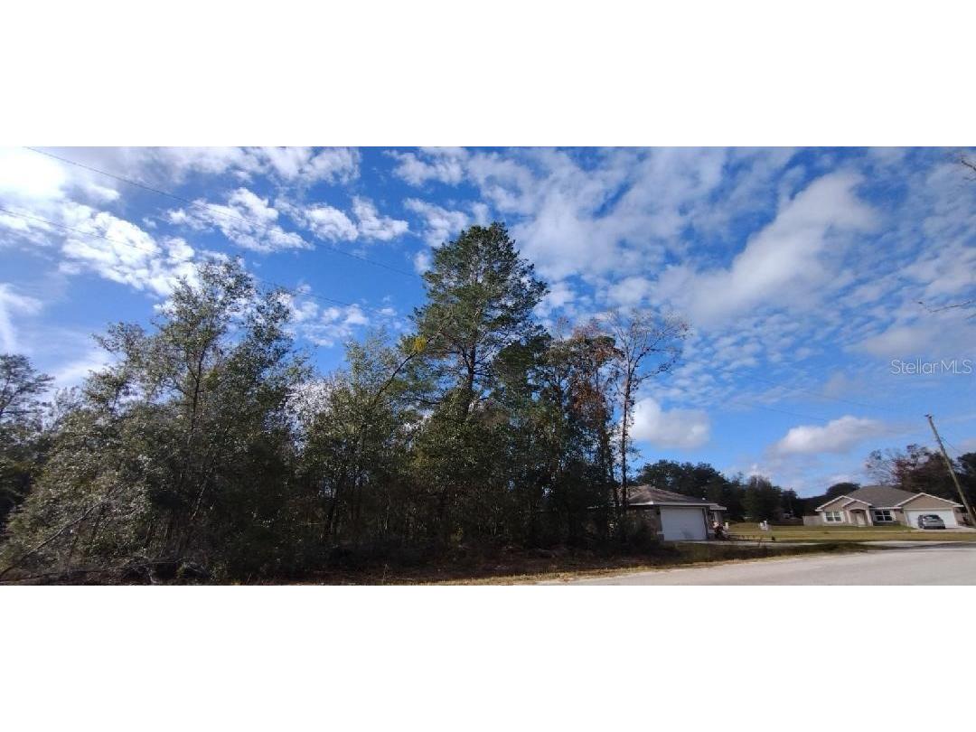 0 Malauka Radial Place Ocklawaha FL 32179 OM671683 image1