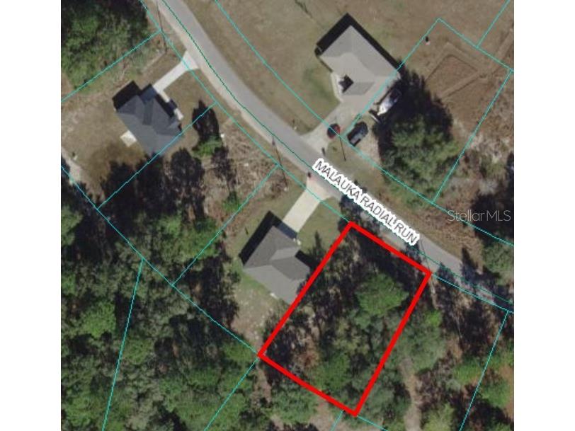 0 Malauka Radial Run Road Ocklawaha FL 32179 OM677378 image1