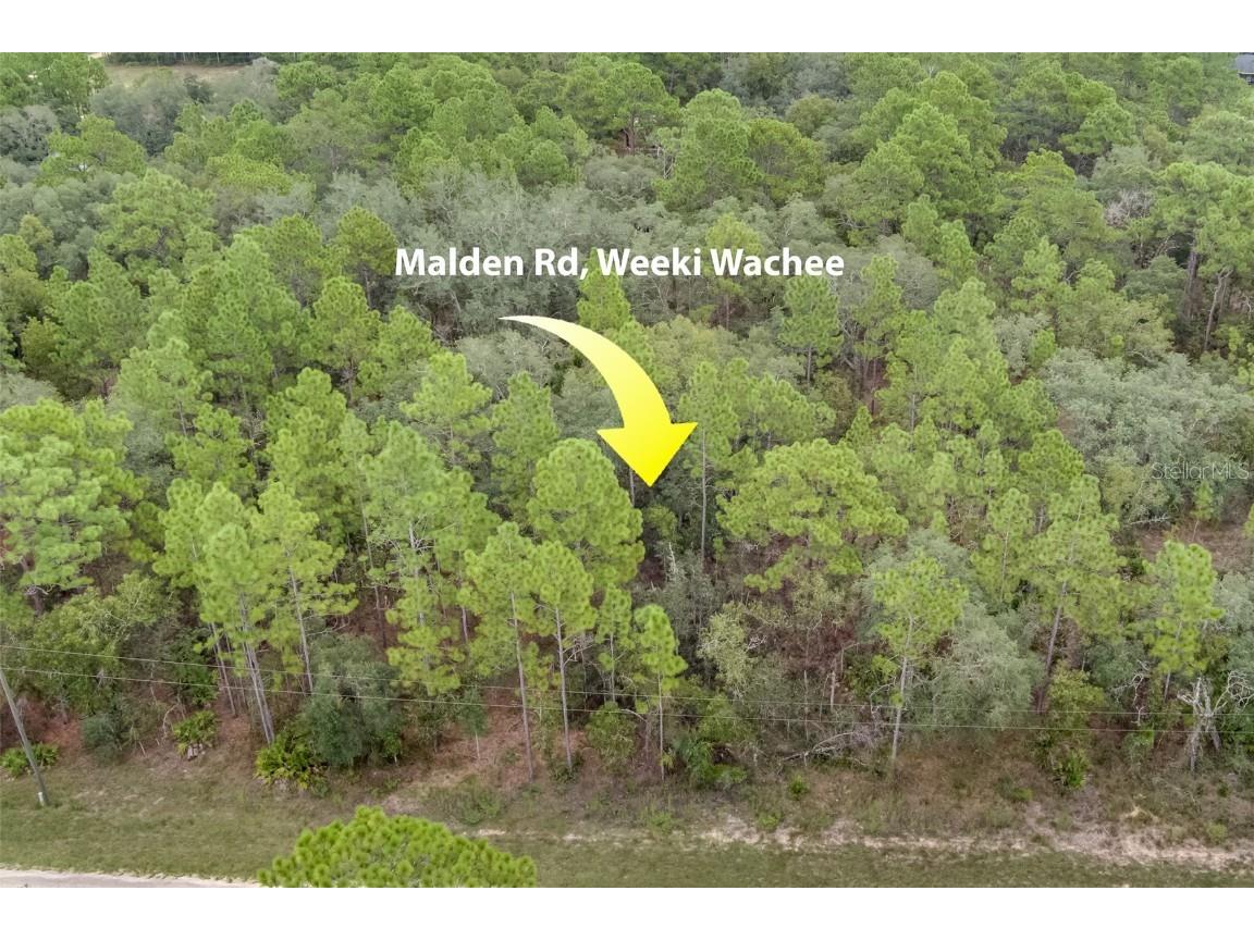 0 Malden Road Weeki Wachee FL 34614 U8174253 image1