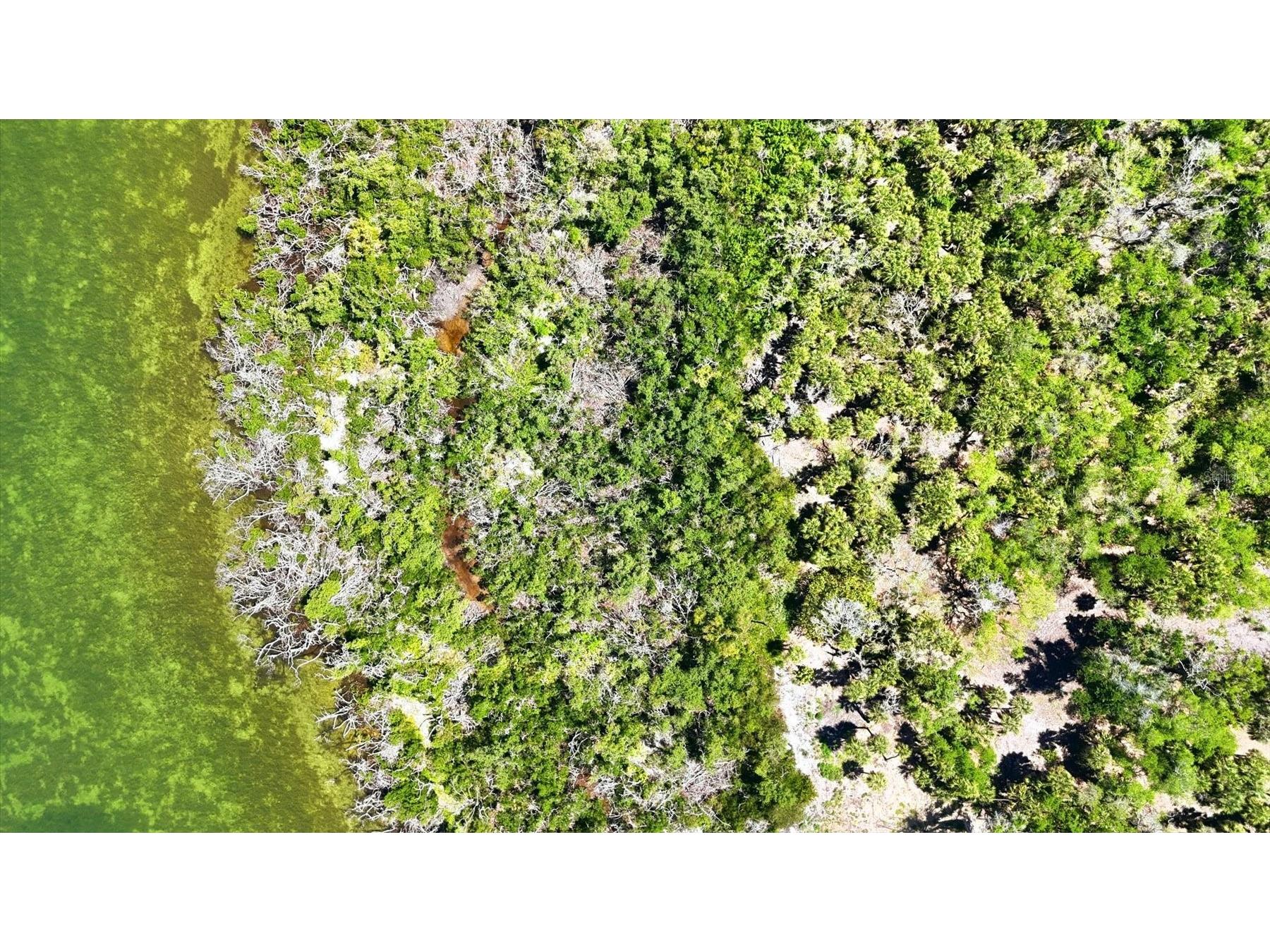 0 Manasota Key Road Englewood FL 34223 - LEMON BAY & ICW D6147427 image18