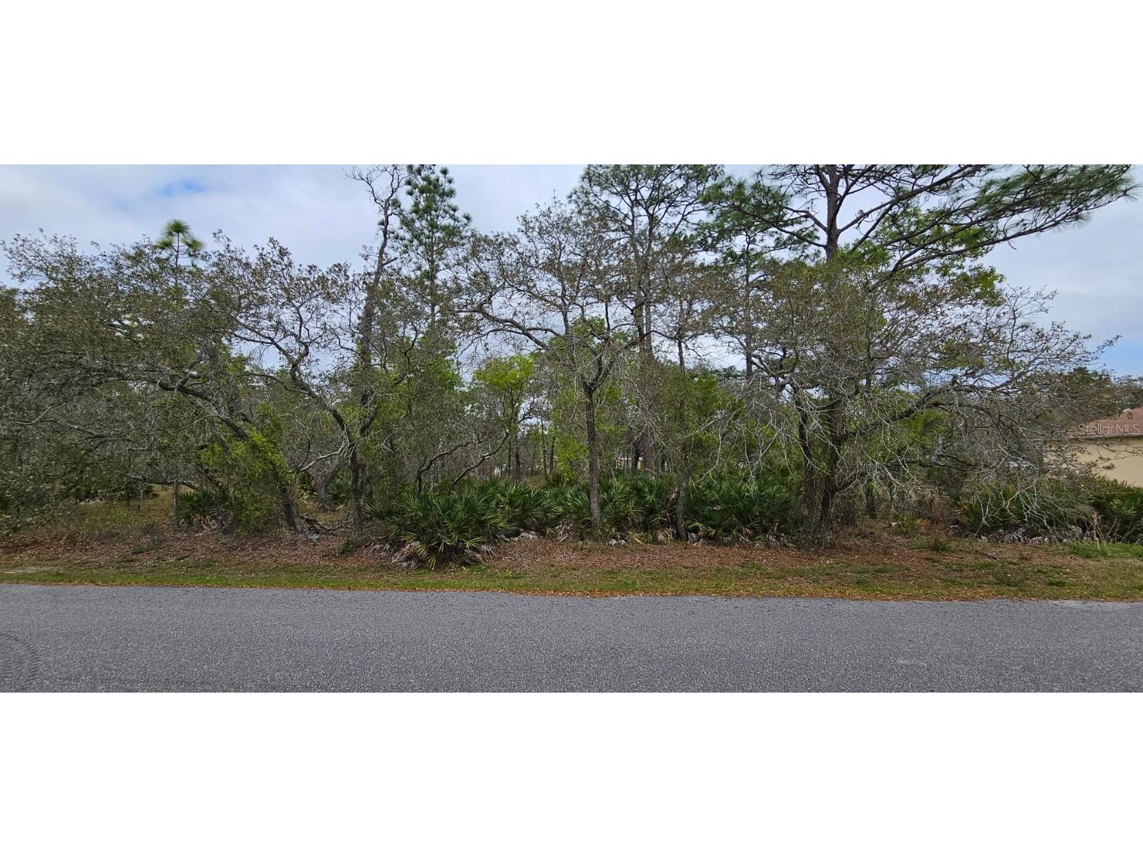 0 Mandlin Road Weeki Wachee FL 34614 W7863299 image1