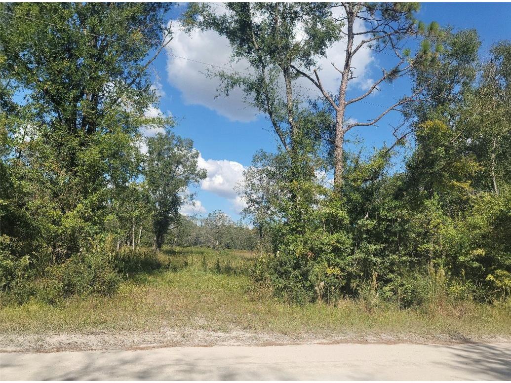 0 Mandrake Road Wesley Chapel FL 33543 T3409877 image1