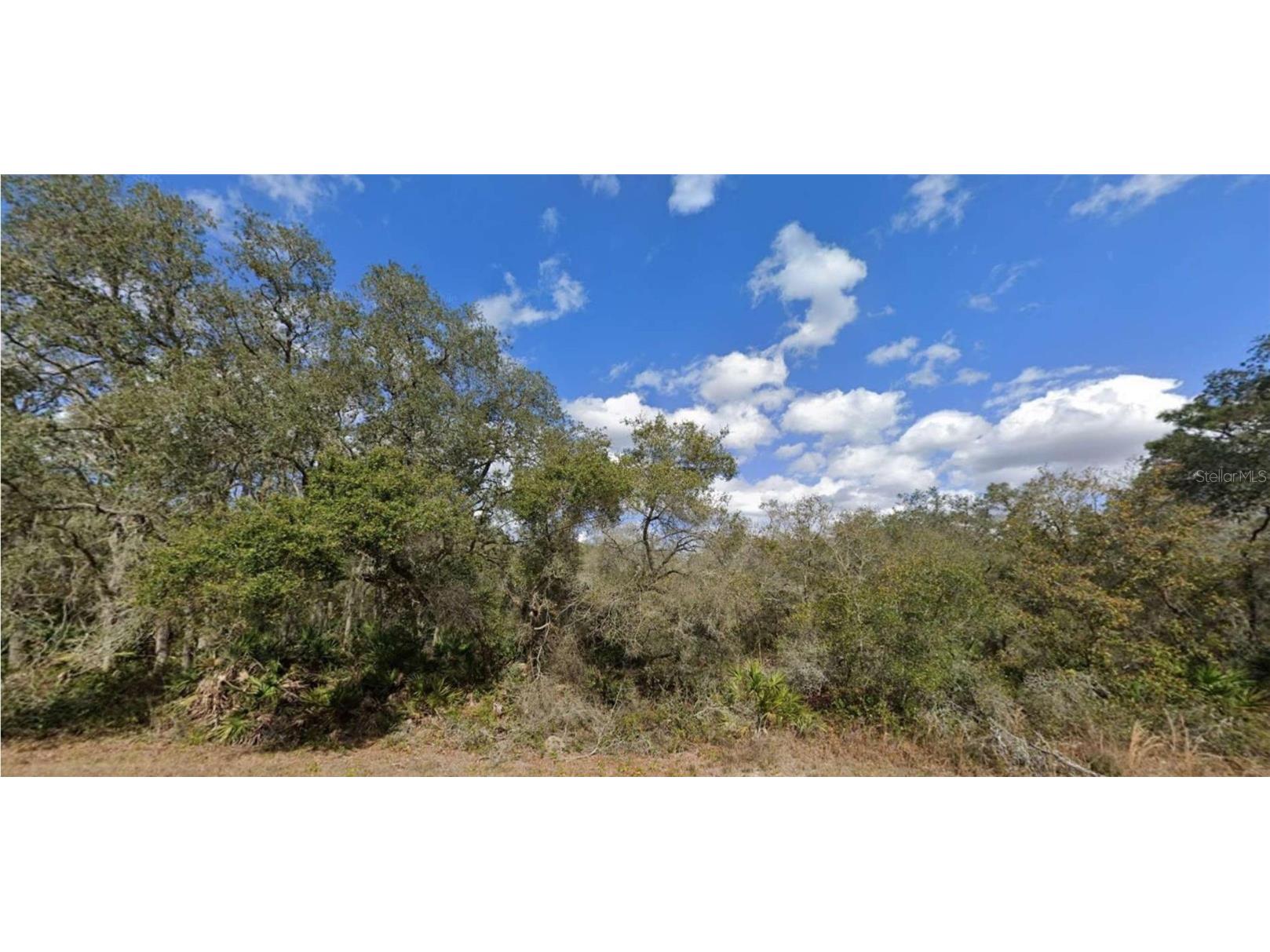 0 Manuel Street #12 Webster FL 33597 T3426798 image1