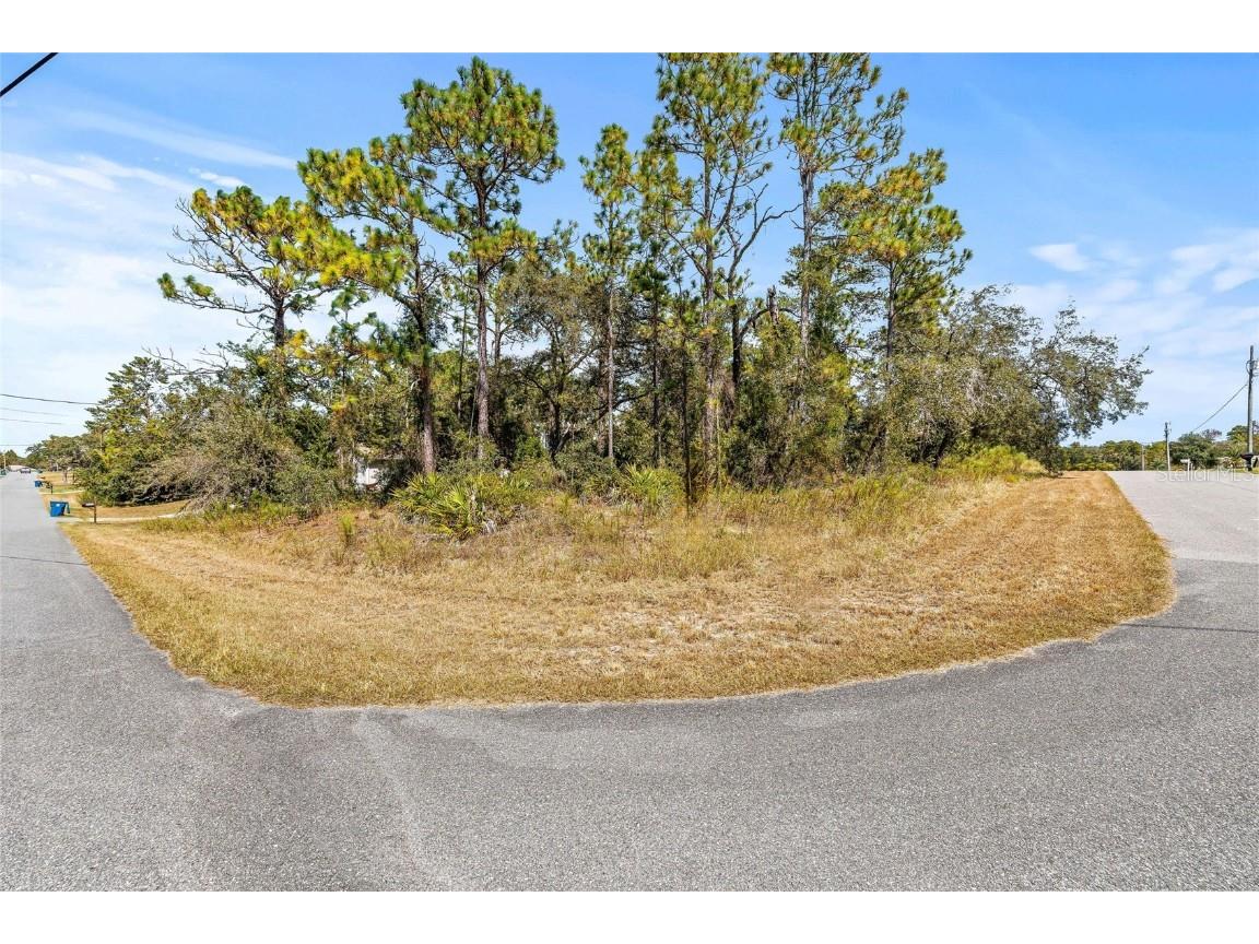 0 Marcella Avenue Weeki Wachee FL 34614 W7879451 image1
