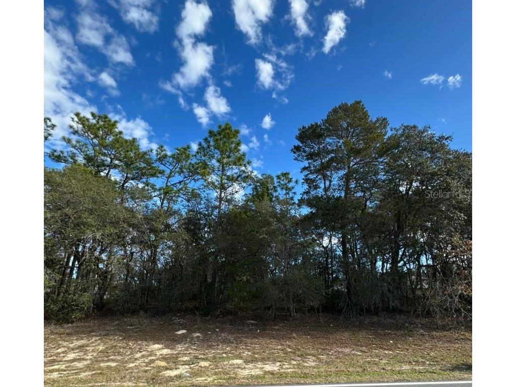 0 Marion Oaks Manor Ocala FL 34473 O6187017 image1