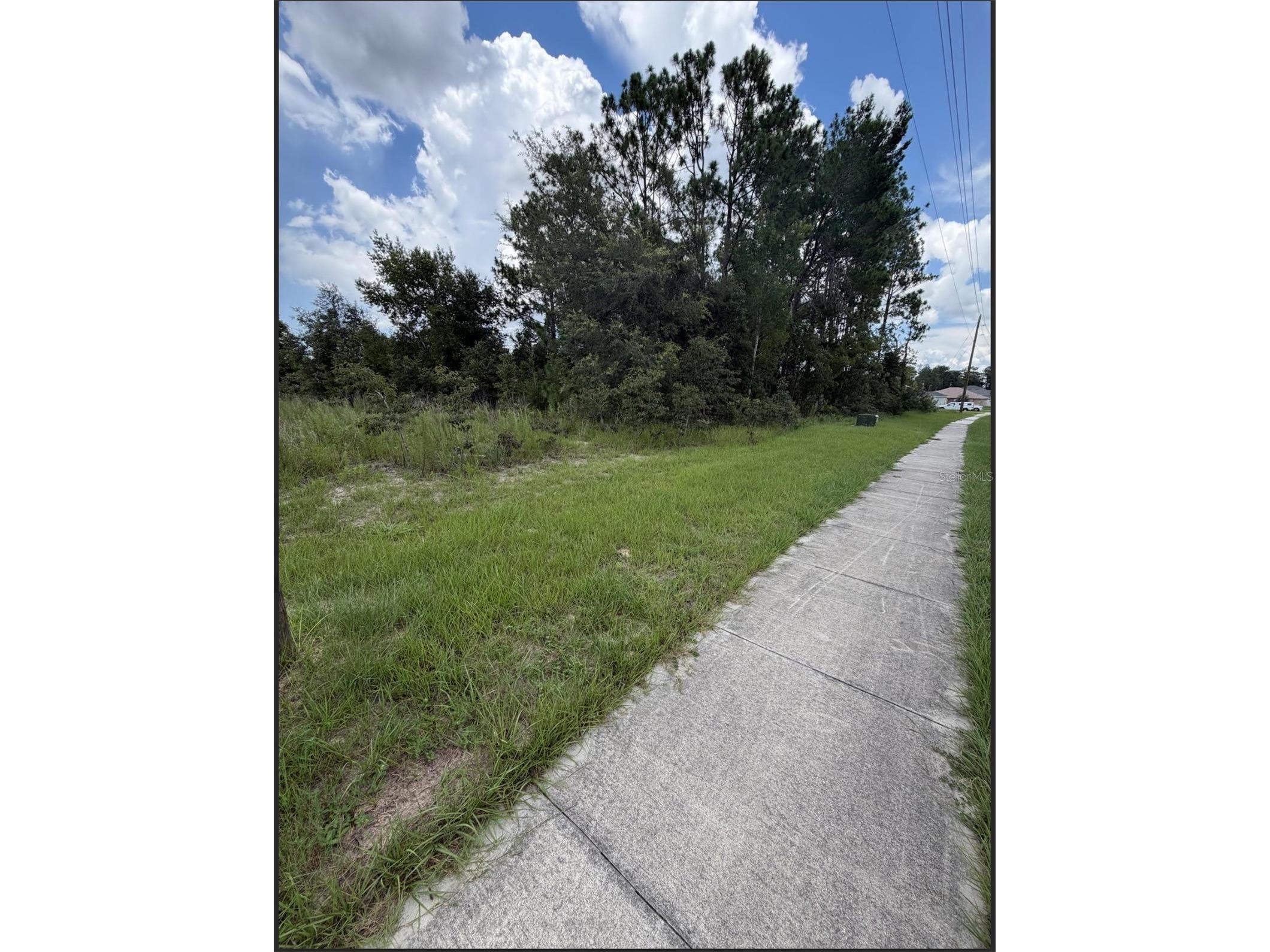 0 Marion Oaks Trail Ocala FL 34473 OM728083 image1
