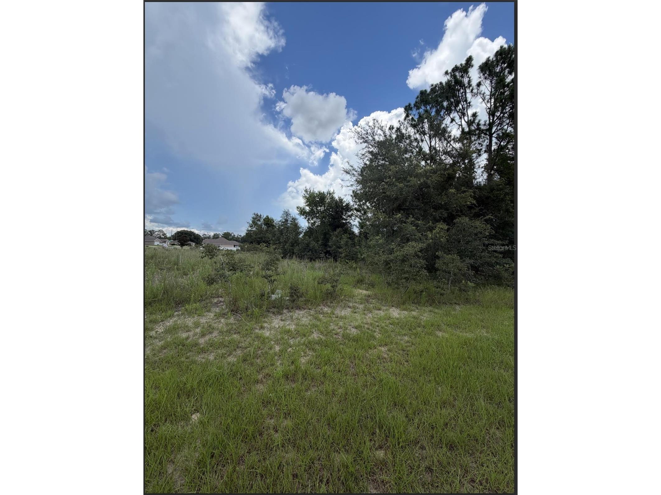 0 Marion Oaks Trail Ocala FL 34473 OM728083 image4