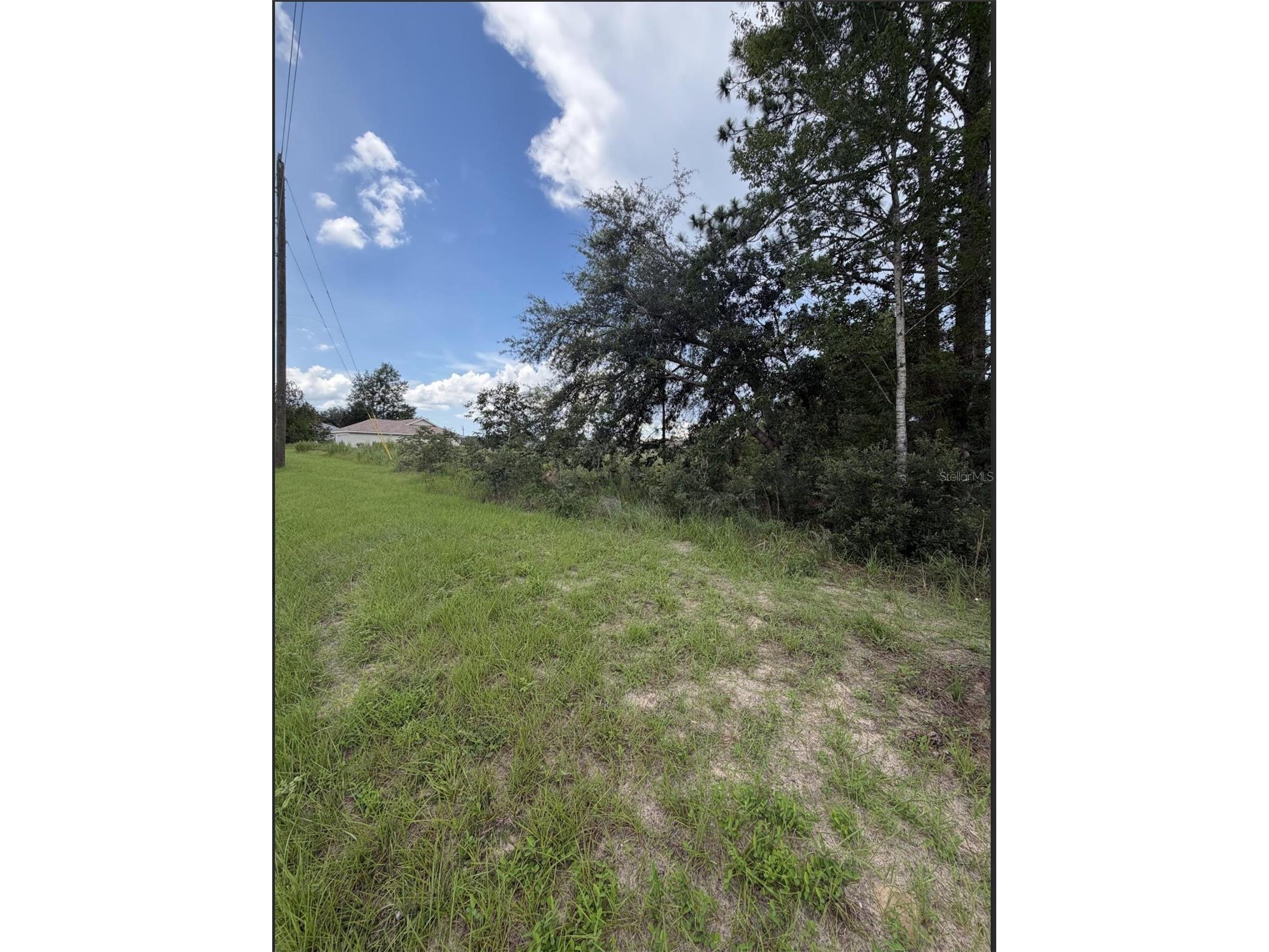 0 Marion Oaks Trail Ocala FL 34473 OM728083 image5