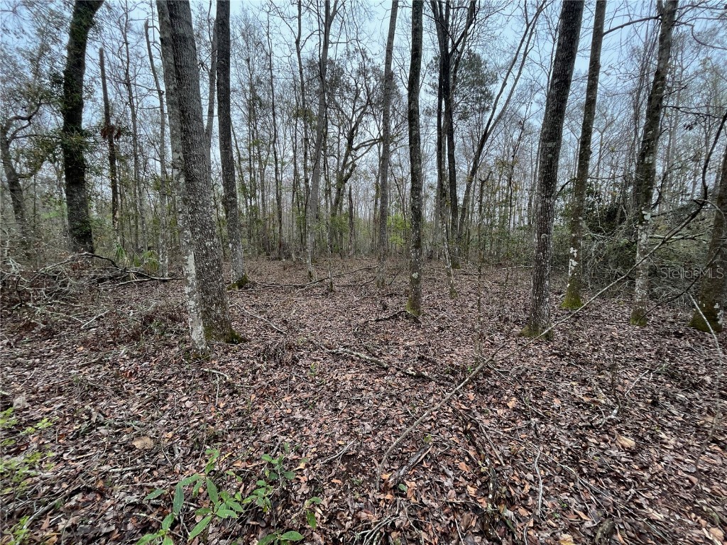 0 Marsan Road Perry FL 32348 OM676683 image1