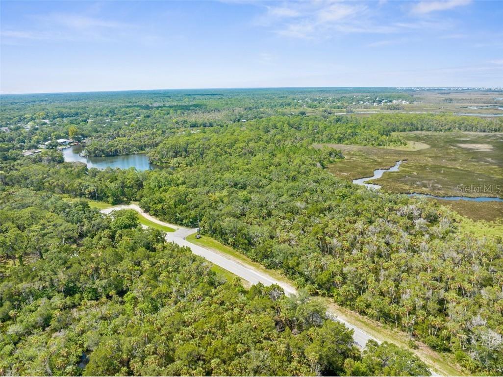 0 Marys Fish Camp Road Spring Hill FL 34607 - MUD RIVER - SPRING HEAD W7866720 image10