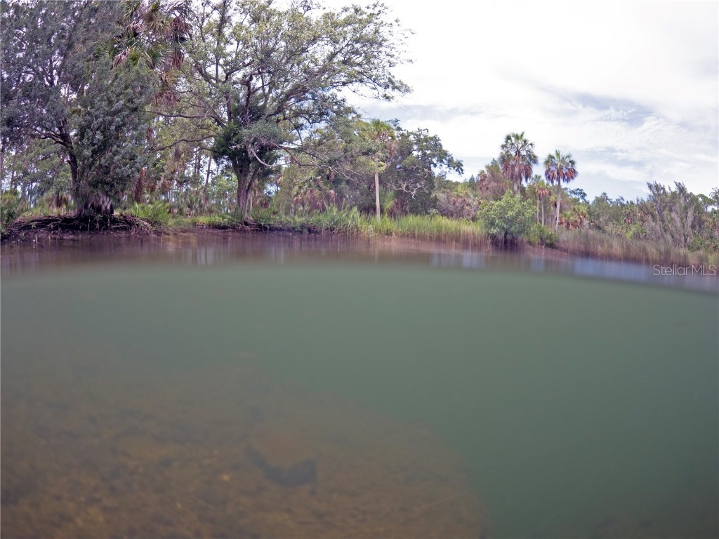 0 Marys Fish Camp Road Spring Hill FL 34607 - MUD RIVER - SPRING HEAD W7866720 image12