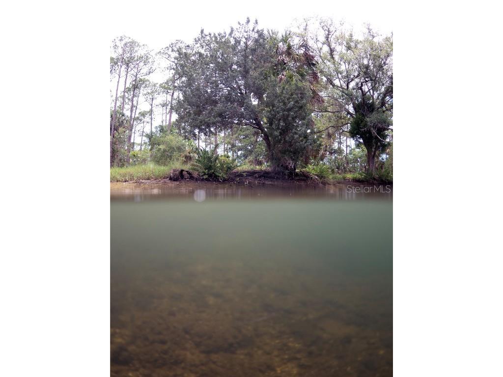 0 Marys Fish Camp Road Spring Hill FL 34607 - MUD RIVER - SPRING HEAD W7866720 image15
