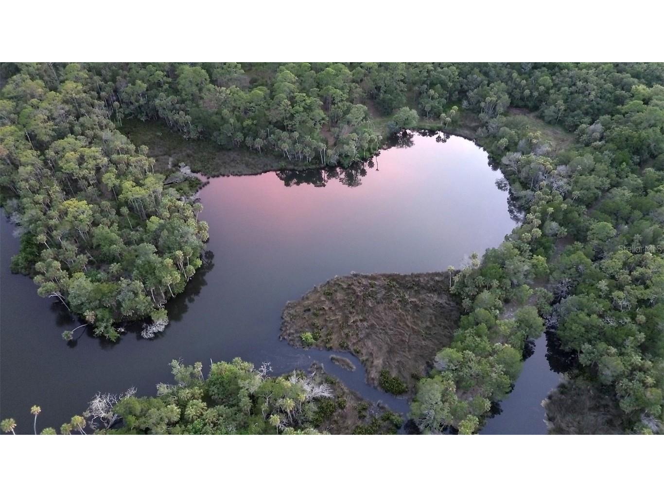 0 Marys Fish Camp Road Spring Hill FL 34607 - MUD RIVER - SPRING HEAD W7866720 image25