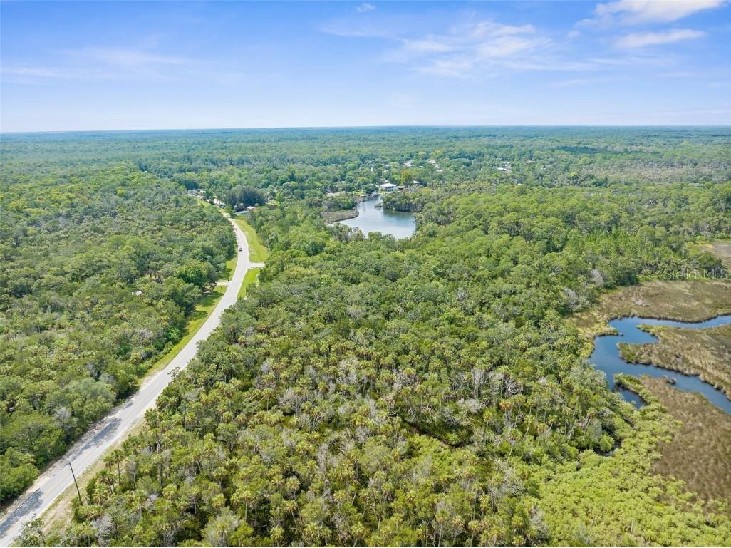0 Marys Fish Camp Road Spring Hill FL 34607 - MUD RIVER - SPRING HEAD W7866720 image8